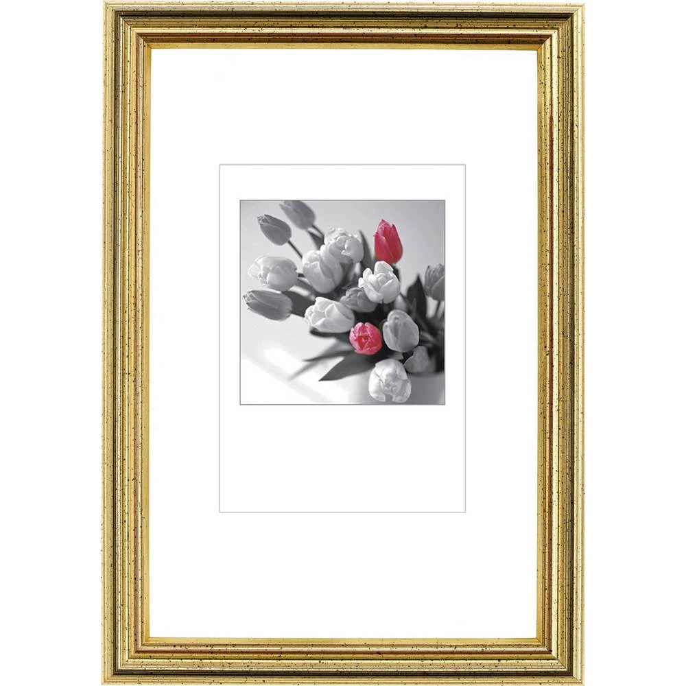 Effect Bilderrahmen 0440,2430,02 izmjenjivi okvir za slike Format papira: 24 x 30 cm zlatna slika