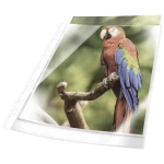 DURABLE PREMIUM omot za prospekte s rubom u boji A4 kristalno prozirna PP vrećica od 25 komada, bijela, 265502 Durable fascikl uložni 265502 din a4 polipropilen  bijela 265502 25 St.