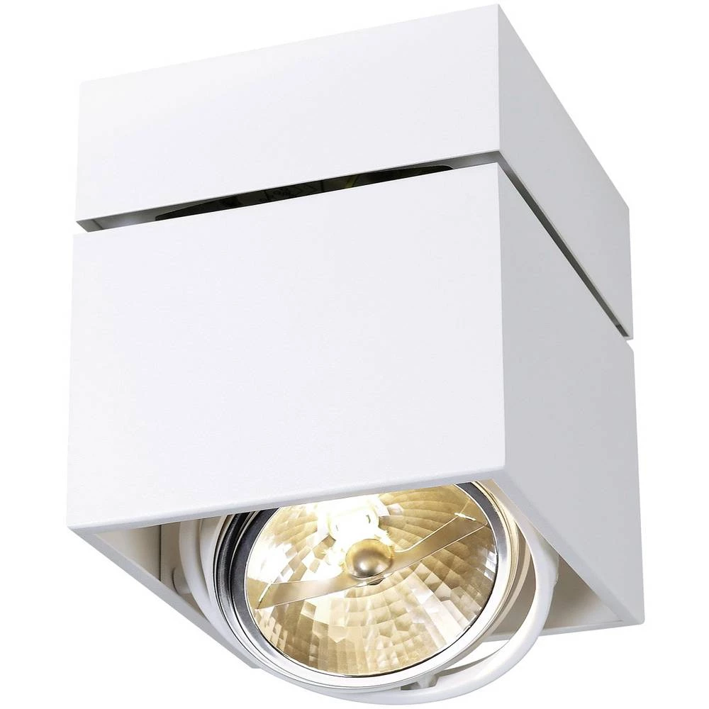 Stropna svjetiljka SLV 117121 Bijela slika