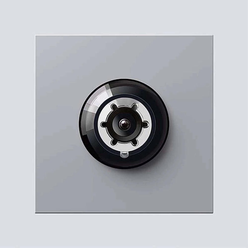 Siedle 200049360-00 pribor portafona za vrata kamera srebrna slika