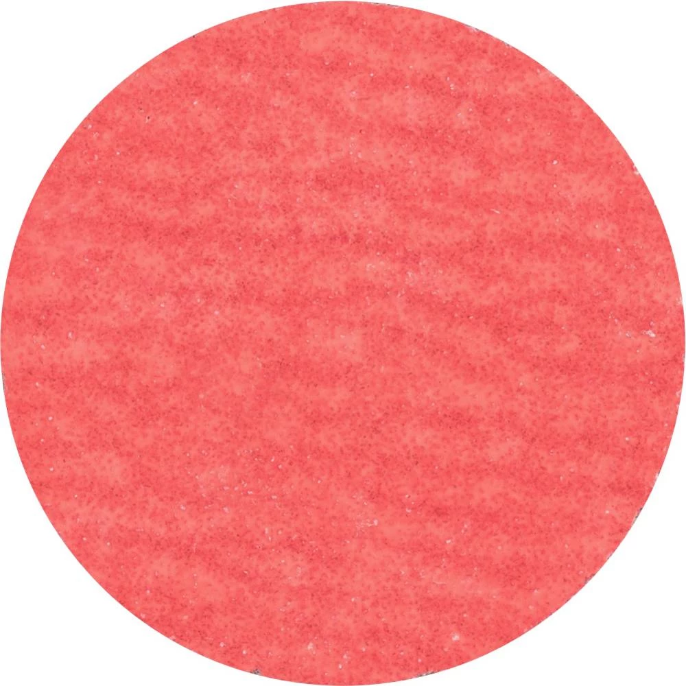 PFERD 42749508 mala brusilica za vlakna Ø 50 mm Granulacija 80 100 St. slika