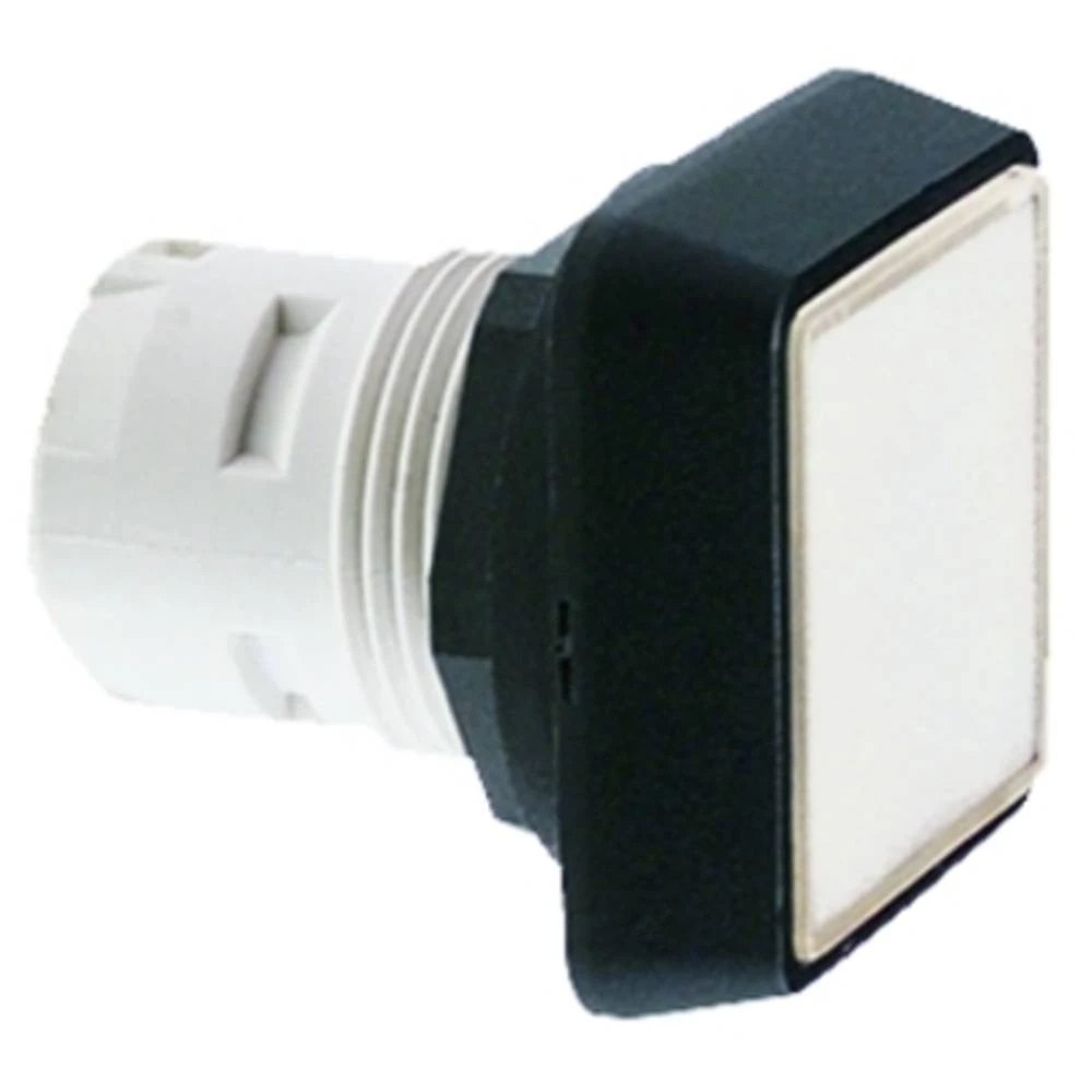 RAFI 1.30.070.501/0000 RAFIX 16 1.30.070.501/0000 tipkalo bezbojna, prozirna 10 St. slika