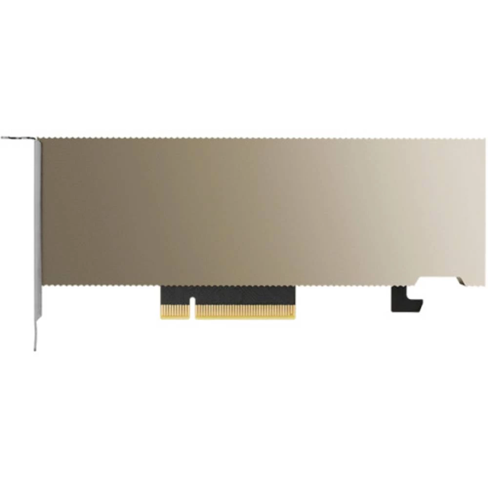 PNY grafička kartica  A2   16 GB    PCIe 3.0 x8 slika