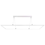 Deko Light 342221 LED Panel transparent, eckig, 50 W, 3000/4000 K, Weiß viseća svjetiljka  Energetska učinkovitost 2021: E (A - G) LED LED fiksno ugrađena 53 W prometno bijela (RAL 9016)