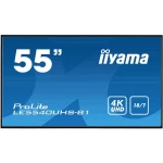 Digital Signage zaslon 138.68 cm 54.6 " Iiyama ProLite LE5540UHS ATT.CALC.EEK: B (A+++ - D) 3840 x 2160 piksel 18/7