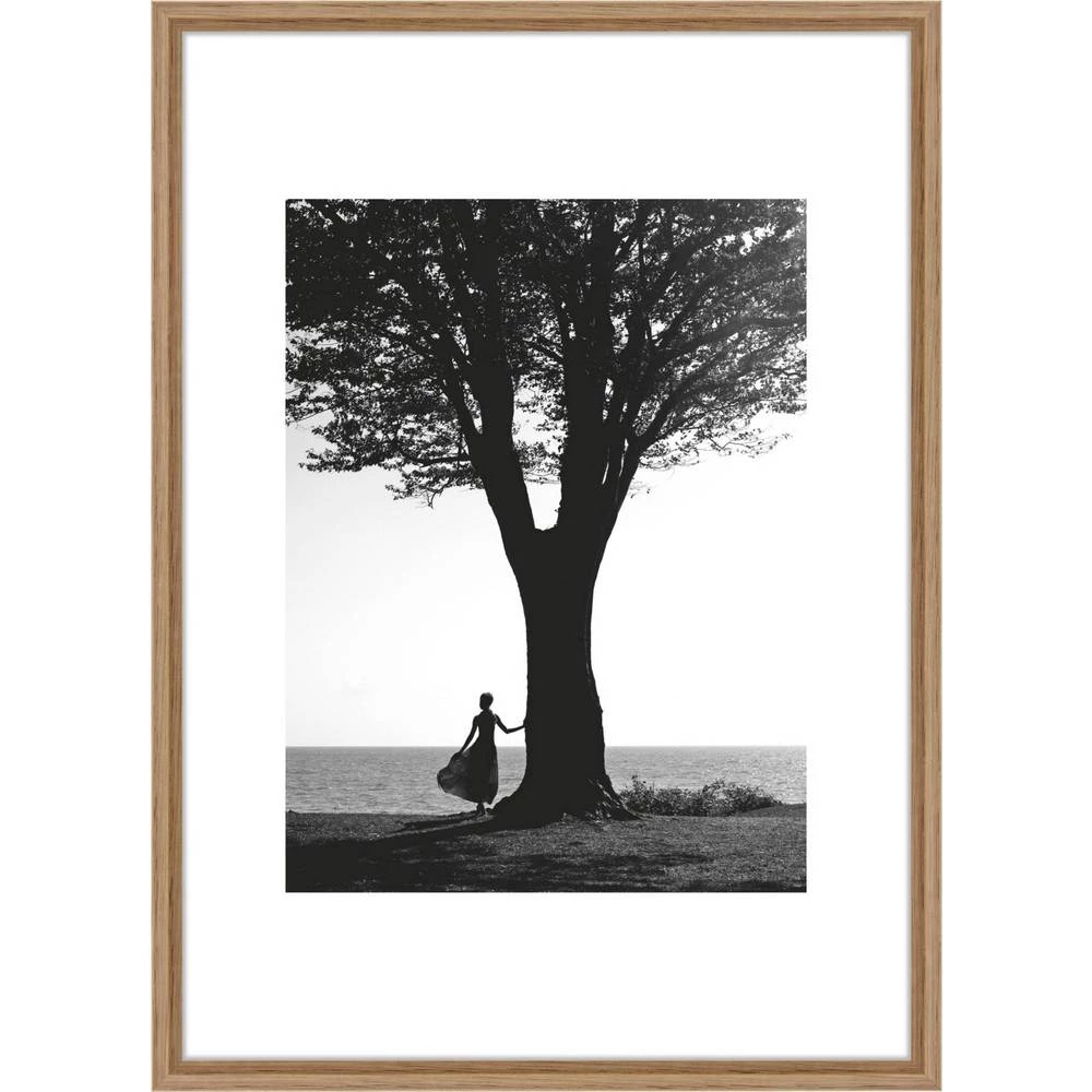 Nielsen Design 1121102 izmjenjivi okvir za slike Format papira: din a4 smeđa boja slika