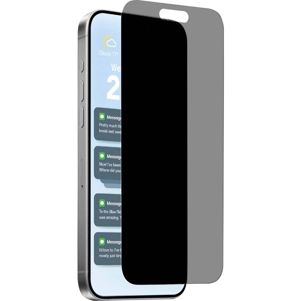 Puro zaštitno staklo za ekran s filterom za privatnost Apple iPhone 17 Pro Max 1 kom. PUSDGPRIPHONE17P69 slika