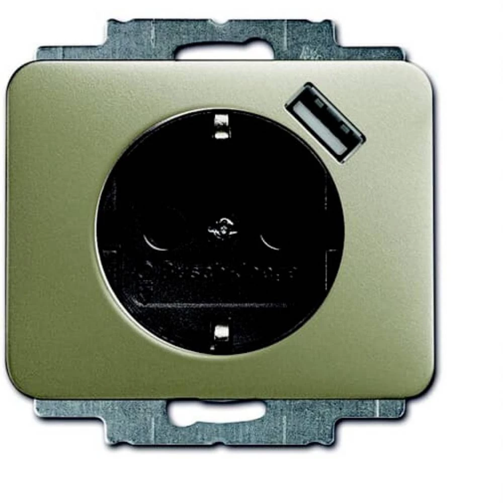 ABB 2CKA002011A6172  utičnica sa zaštitnim kontaktom   IP20 slika