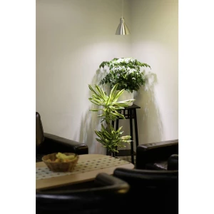 Venso svjetlo za biljke  89.5 mm 230 V E27 6 W  neutralna bijela reflektor  1 St. slika