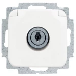 ABB 2CKA002018A1479  umetak za uređaje   IP20 čista bijela (RAL 9010), bijela