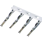 econ connect Sadržaj: 1 ST