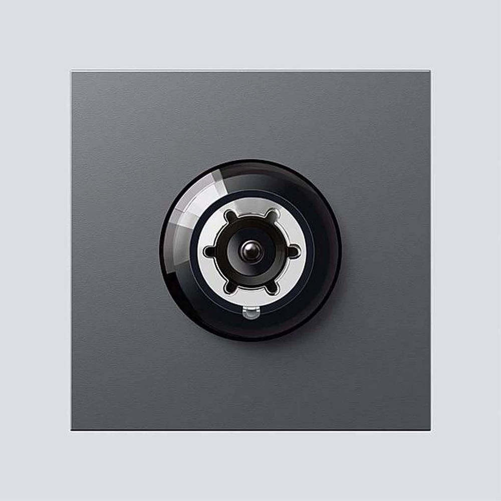 Siedle 200048276-01 pribor portafona za vrata kamera siva slika