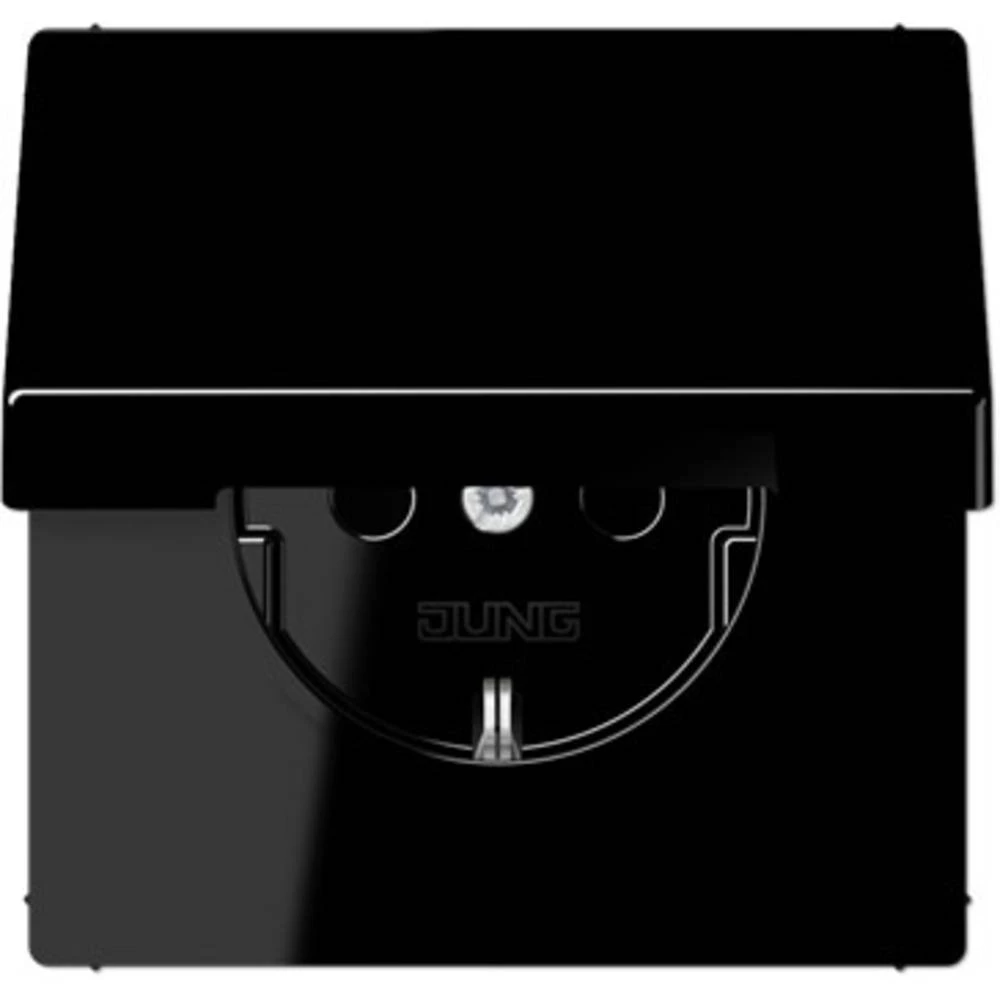 Jung 1-struki Umetak Utičnica s poklopcem sa šarkama Crna LS1520KLSW slika