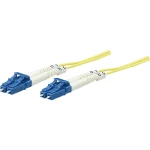Staklena vlakna Svjetlovodi Priključni kabel [1x Muški konektor LC - 1x Muški konektor LC] 9/125 µ Singlemode OS2 2 m Inte