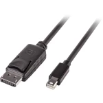 LINDY Mini-DisplayPort / DisplayPort adapterski kabel Mini DisplayPort utikač, DisplayPort utikač 5.00 m crna 41648  DisplayPort kabel