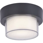 Paul Neuhaus Q® LED vanjsko stropno svjetlo Q®-Erik LED fiksno ugrađena 11 W RGBAW