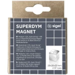 Sigel neodimijski magnet C20 ''Super-Strong'' (Š x V x D) 20 x 20 x 20 mm kocka srebrna 2 St. BA706