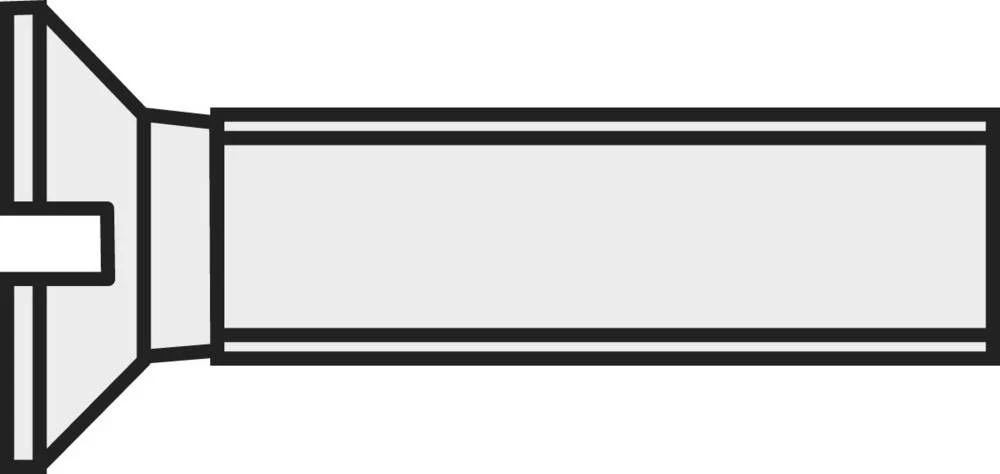 Upušteni vijak TOOLCRAFT, zarez, M2, 10mm, DIN 963, umjetna masa-poliamid, 10 ko slika