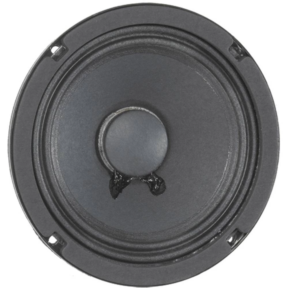 6 " 15.24 cm Šasija zvučnika Eminence EA6A 100 W 8 Ohm slika