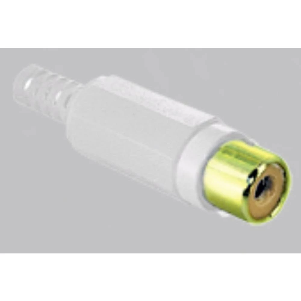 Činč konektor Konektor, ravni Broj polova: 2 Mono Bijela BKL Electronic 1 ST slika