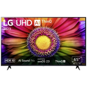 LG Electronics 65UR80006LJ.AEUD LCD-TV 165 cm 65 palac Energetska učinkovitost 2021 F (A - G) ci+, dvb-c, dvb-s2, DVB-T2, WLAN, UHD, Smart TV crna slika