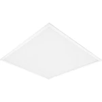 LEDVANCE 4058075694484 LED panel toplo bijela, hladno bijela