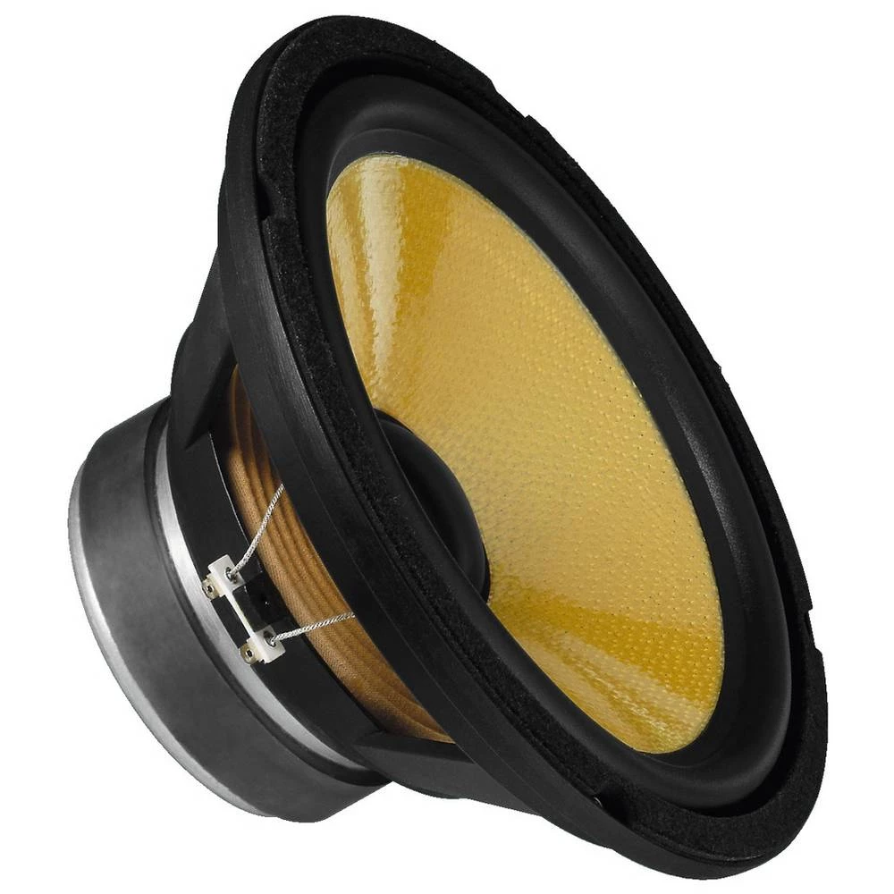 10 " 25.4 cm Šasija zvučnika Monacor SPH-250KE 100 W 8 Ohm slika