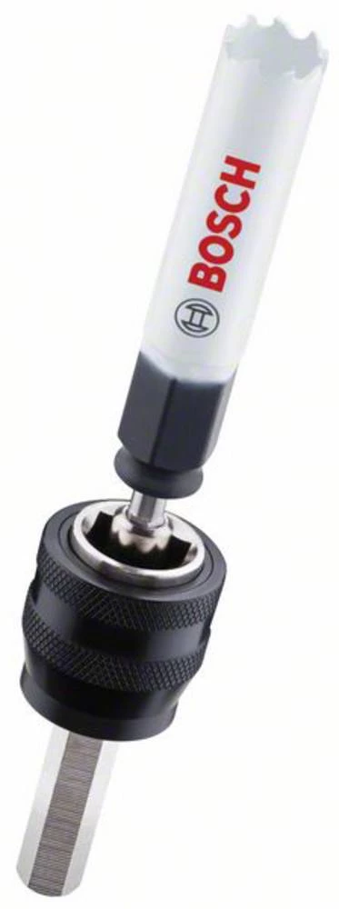 Krunska pila Bosch Accessories 2608580969 1 ST slika