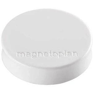 Magnetoplan Magnet Ergo Medium (Ø x V) 30 mm x 8 m Okrugli Bijela 10 ST 1664000 slika