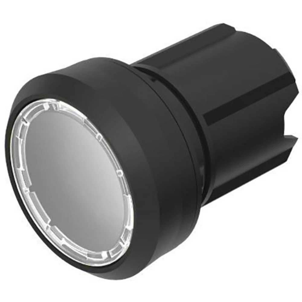 EAO 45-2231.11N0.000 Serija 45 Osvijetljeni aktuator s gumbom Bijeli trenutni eao  tipkalo     bijela  IP69 k (u ugrađenom stanju) 1 St. slika