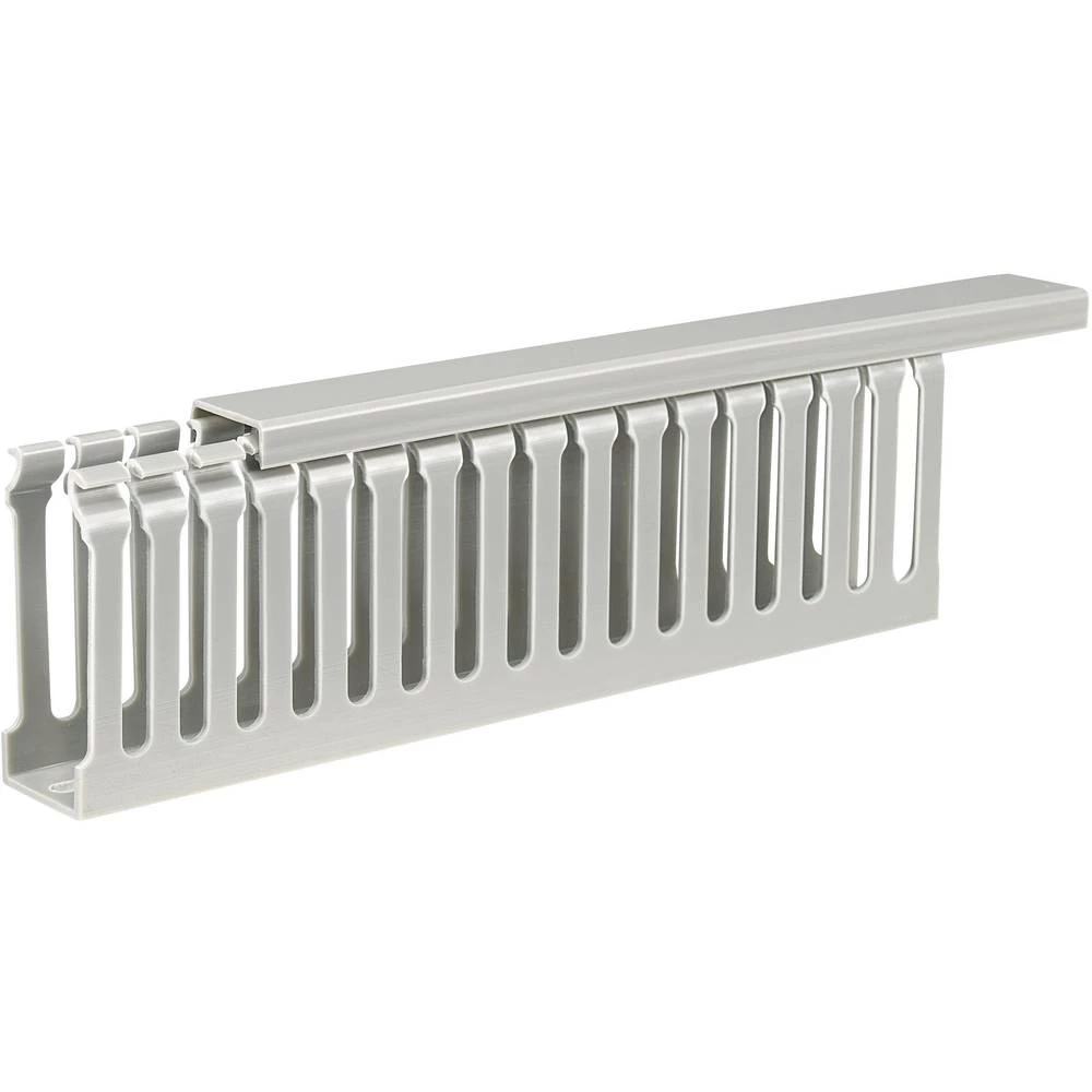 Basetech BT-2226753 kanal za ožičenje  (D x Š x V) 2000 x 25 x 65 mm 1 St. siva slika