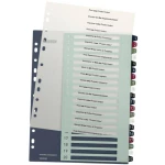 Leitz Register 1239 Style DIN A4 11-20 Polipropilen Višebojna 20 pregrada za registrator Ekstra širok, PC-zapisiv 1239-00-00