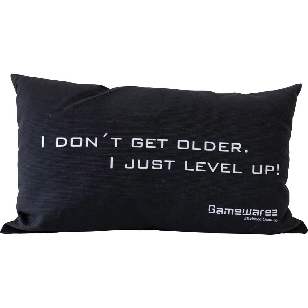 Jastuk GAMEWAREZ "I DON'T GET OLDER. I JUST LEVEL UP!" Crna slika