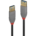 LINDY USB kabel USB 3.2 gen. 1 (USB 3.0) USB-A utikač, USB-A utičnica 3.00 m crna  36763