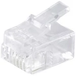 Shiverpeaks  Shiverpeaks BASIC-S mrežni modularni utikač RJ11 6-pinski, 4 dodijeljena kontakta, pozlaćeni kontakti, pakiranje od 10 BS72040-10 ravni muški konektor   Broj polova 6p4c prozirna