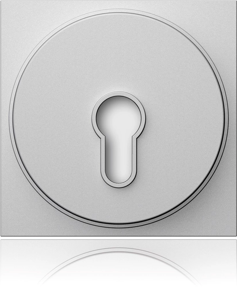 Ritto by Schneider 1879820 Video-portafon Ritto 1879820 nosač Srebrna slika