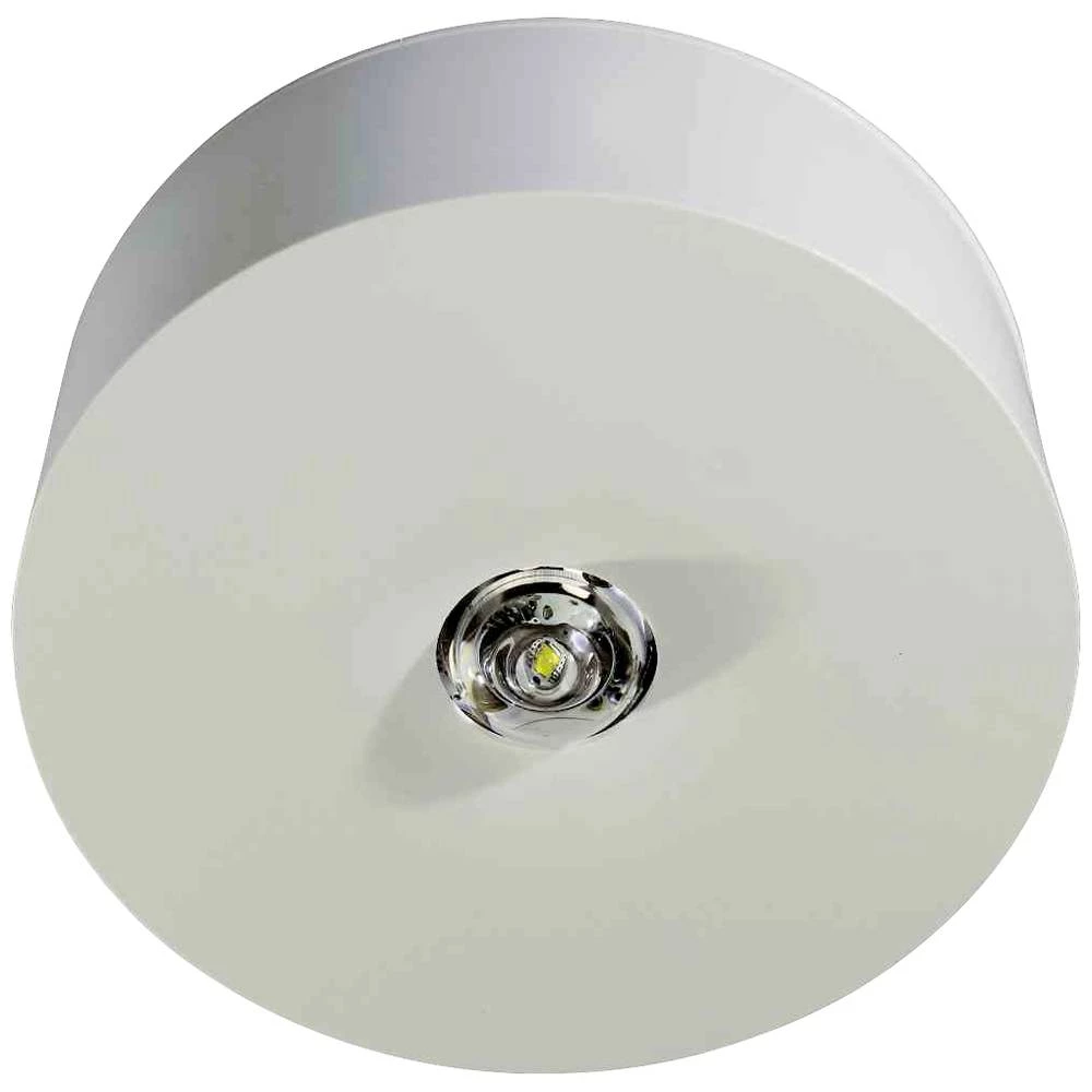 RP Technik ILDR029ML sigurnosno svjetlo  stropna montaža slika