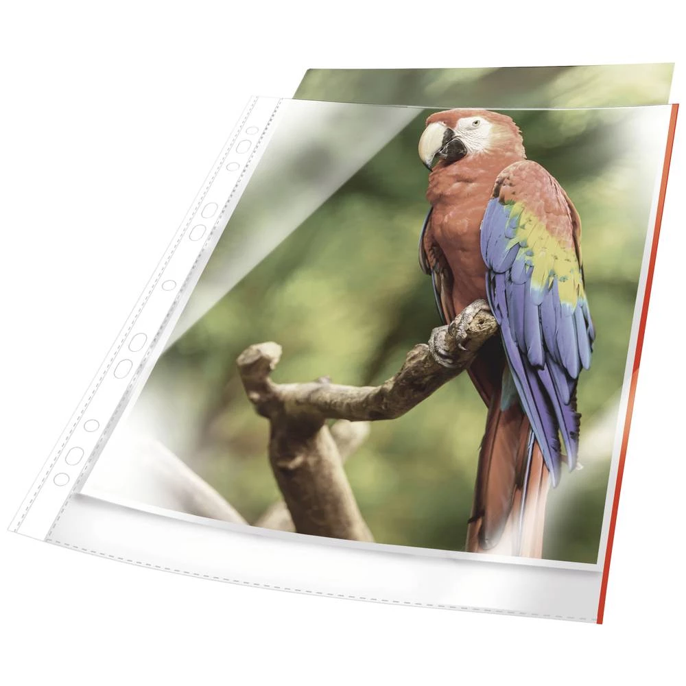 DURABLE PREMIUM omot za prospekte s rubom u boji A4 kristalno prozirna PP vrećica od 25 komada, crvena, 265503 Durable fascikl uložni 265503 din a4 polipropilen  crvena 265503 25 St. slika