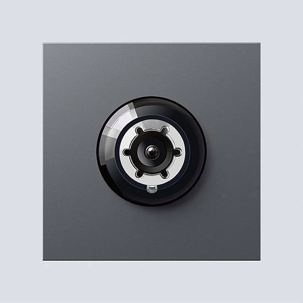 Siedle 200049324-00 video portafon za vrata funkcijski modul siva slika