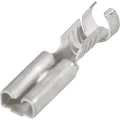 TE Connectivity 1-160304-8 plosnate natične stupice Širina utikača: 6.3 mm Debljina utikača: 0.8 mm 180 ° neizolirani 1 slika