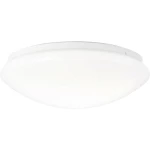 Brilliant Fakir G96974/05 LED stropna svjetiljka 12 W bijela, hladno-bijela