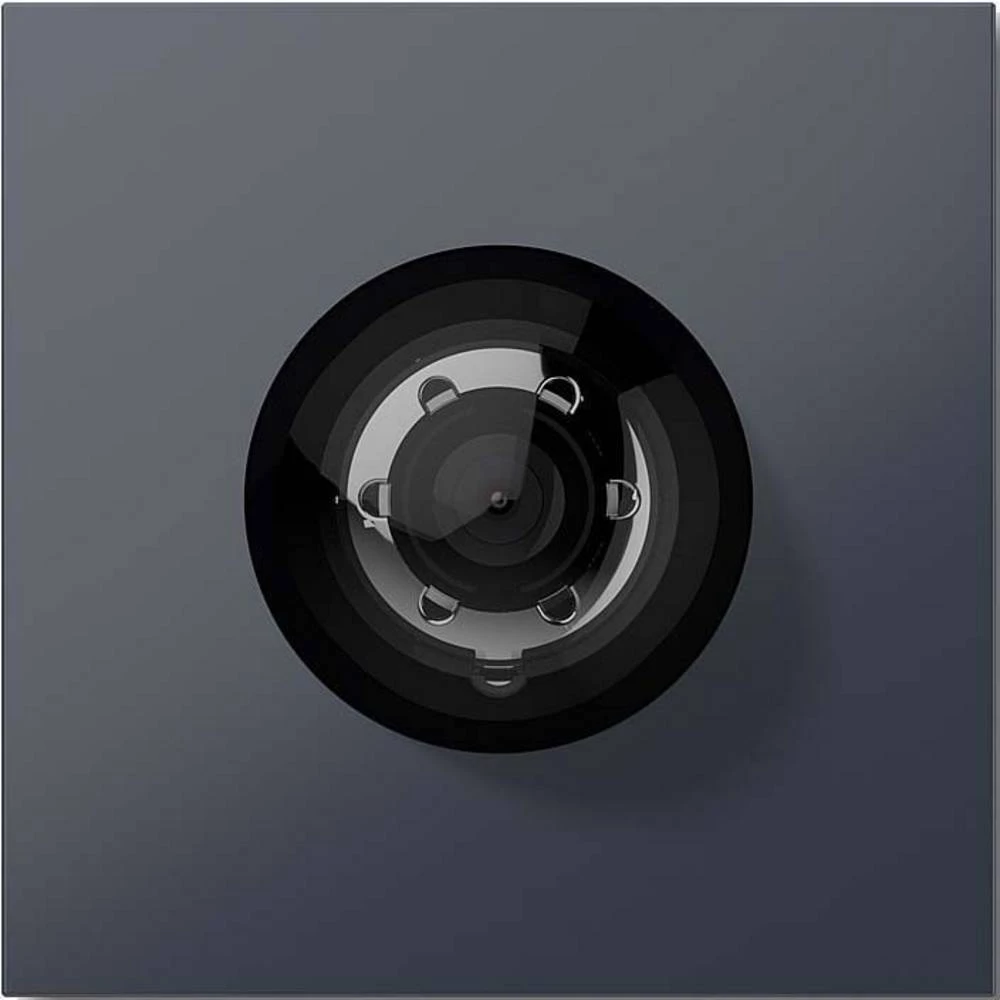 Siedle 210004896-01 video portafon za vrata funkcijski modul siva slika