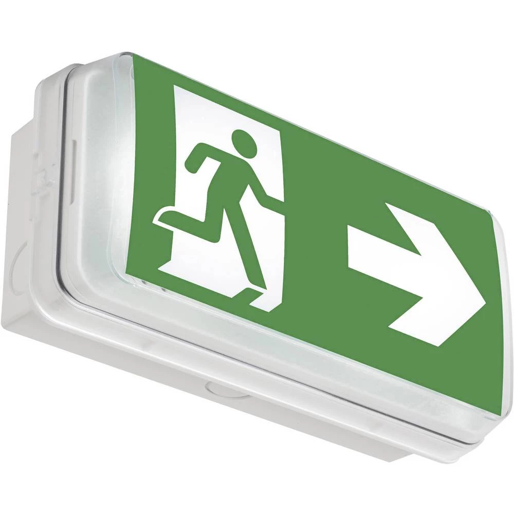 ABB 7TCA091160R0583 LED osvjetljenje za izlaz u nuždi Stropna montaža, Zidna montaža slika