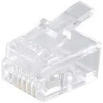 Shiverpeaks  Shiverpeaks BASIC-S mrežni modularni utikač RJ12 6-pinski, 6 dodijeljenih kontakata, pozlaćeni kontakti, pakiranje od 10 BS72050-10 ravni muški konektor   Broj polova 6p6c prozir