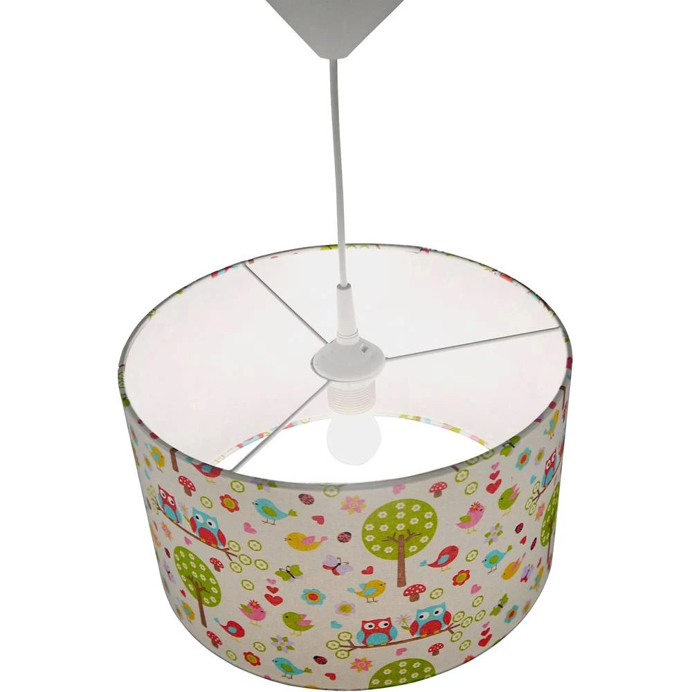 Viseća svjetiljka Sova ATT.CALC.EEK: Ovisno o lampi Štedna žarulja, LED E27 60 W Niermann Šarena boja slika