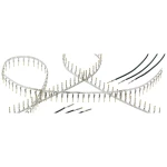 Ženski kontakt Harting 09670008248 1 ST