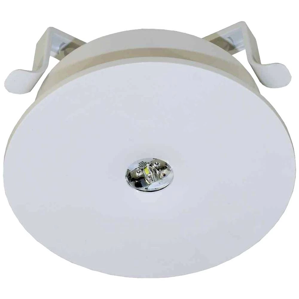 RP Technik ILEF029ML sigurnosno svjetlo  montaža u strop slika