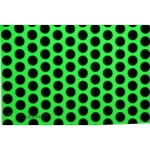 Folija za ploter Oracover Easyplot Fun 1 92-041-071-002 (D x Š) 2 m x 20 cm Zeleno-crna (fluorescentne)