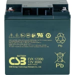 CSB Battery EVX 12300 EVX12300 olovni akumulator 12 V 30 Ah olovno-koprenasti (Š x V x D) 166 x 175 x 125 mm M5 vijčani