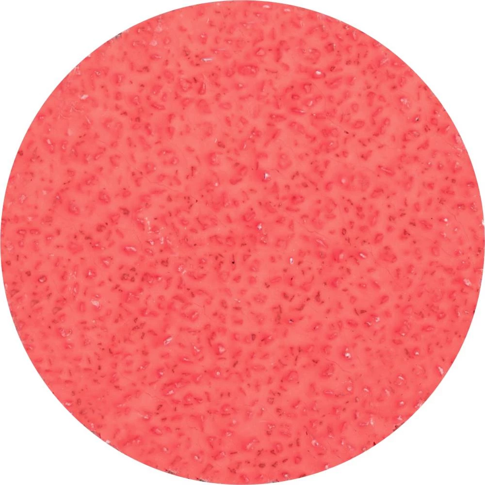 PFERD    CD 50 CO-COOL 24    42756502    brusni list        Granulacija 24        (Ø) 50 mm    100 St. slika